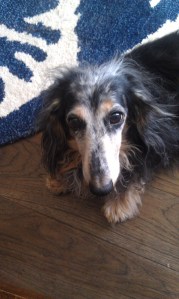 jackson2get-attachment.aspx