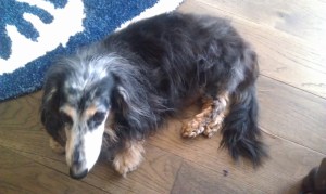 jackson3get-attachment.aspx