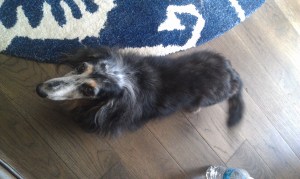 jacksonget-attachment.aspx